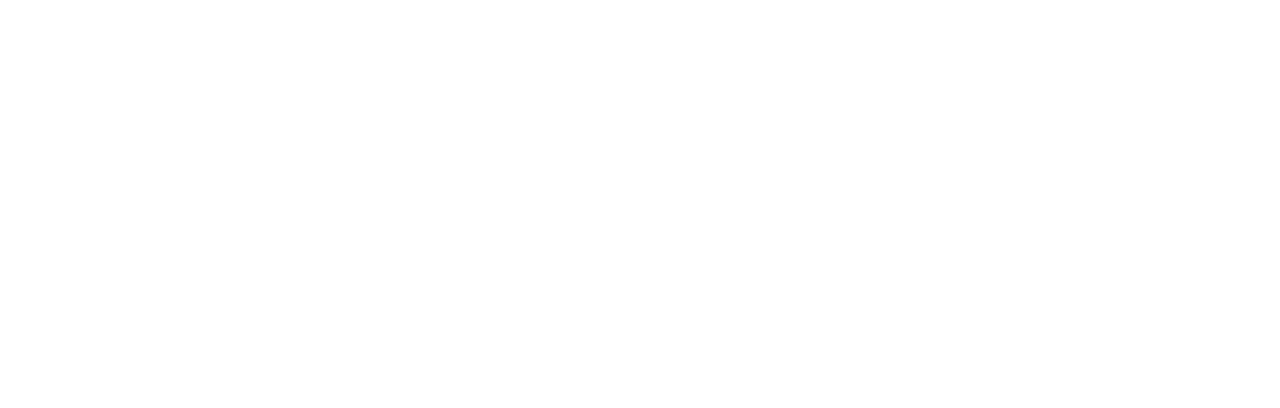 Wiesbadener Jugendwerkstatt