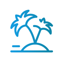 palm-trees