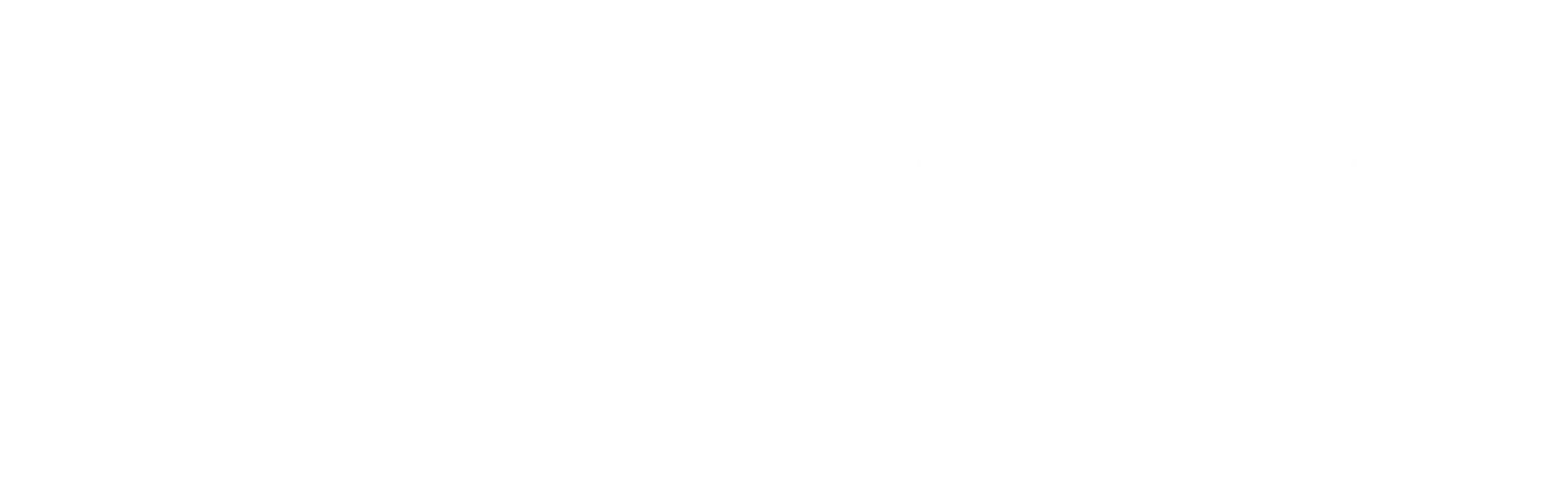 Referenzkunde 4